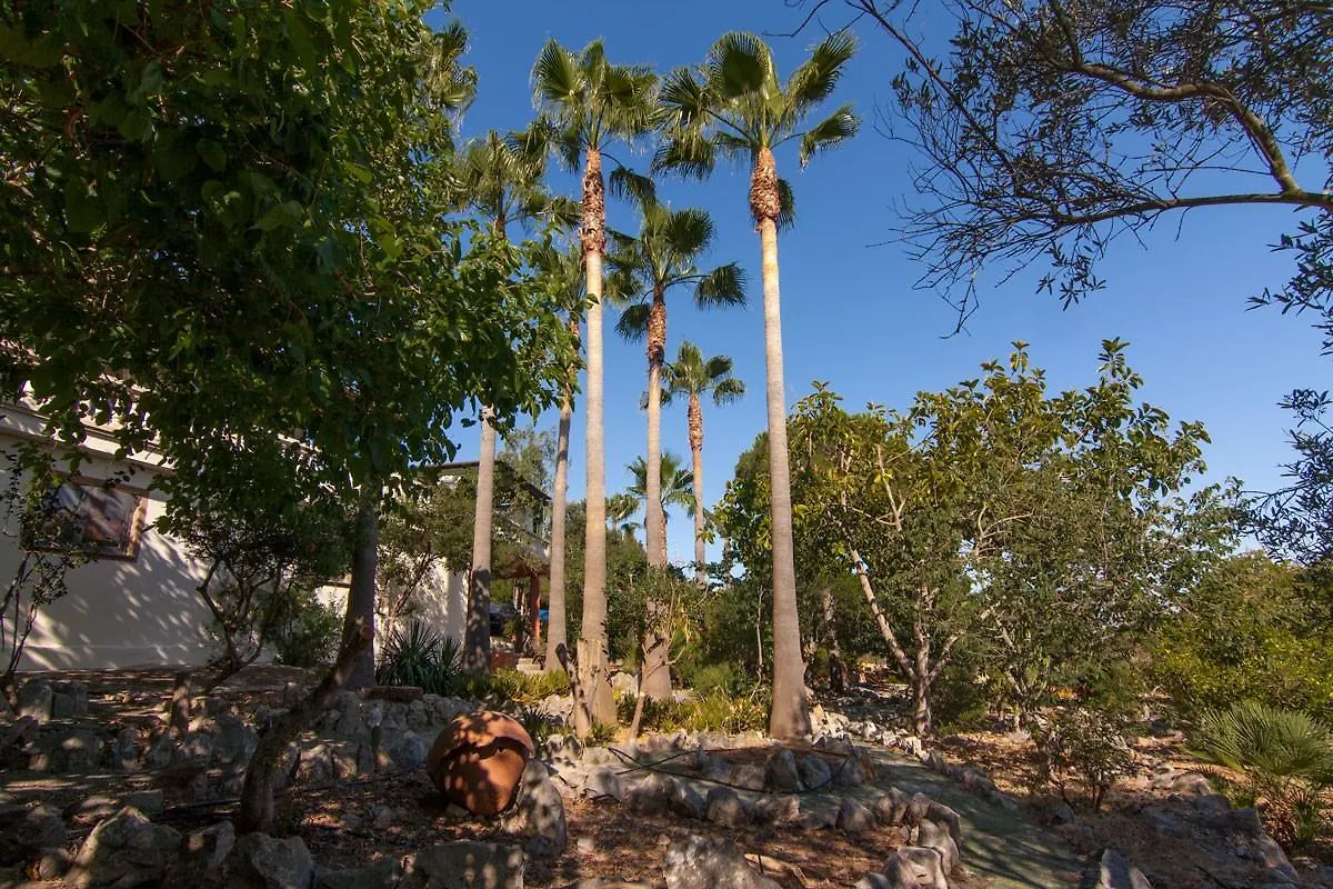 Can Marti Alcudia  Villa